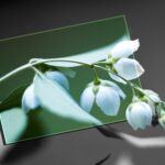 Kurs: Bildbearbeitung mit Photoshop (Lightroom)