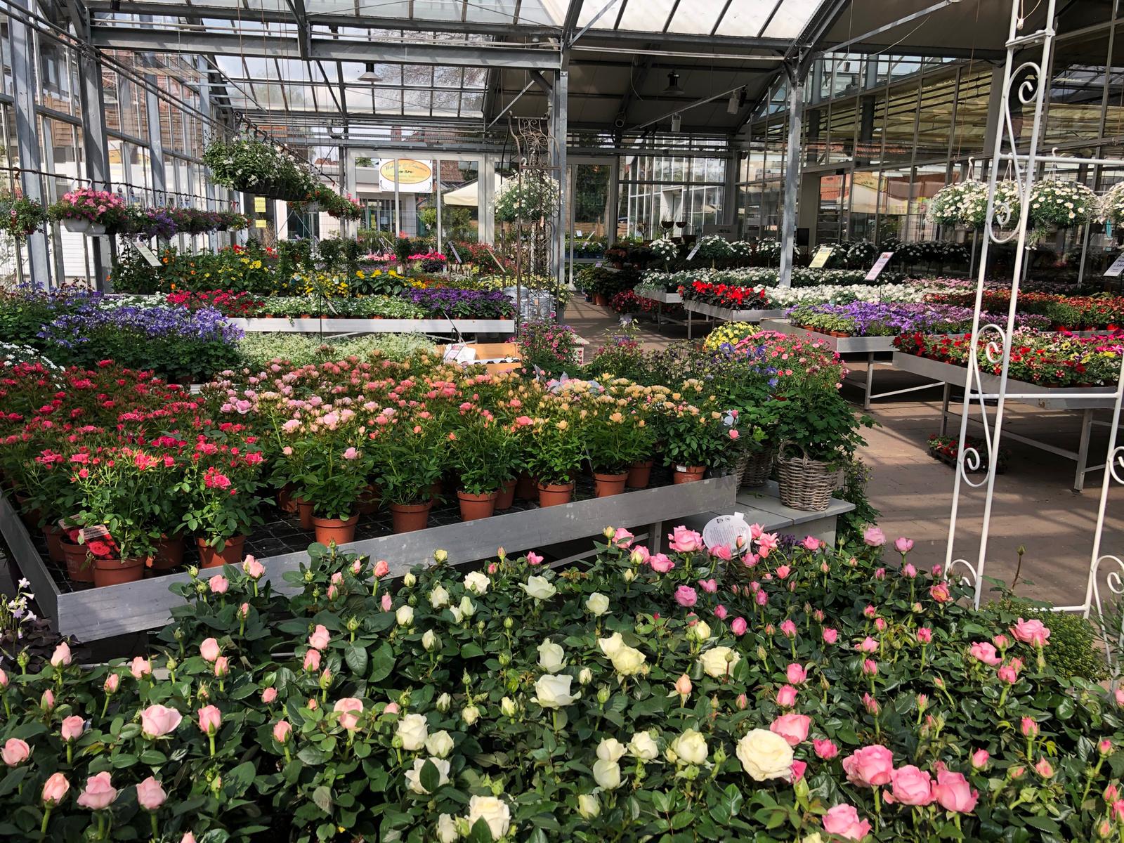 Kunst der Blüte